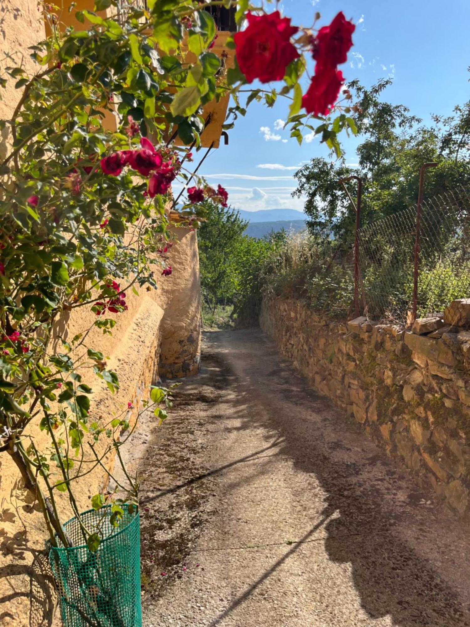 La Casina De Gelo Villa Riego de Ambros Exterior photo